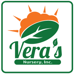 VERA'S NURSERY